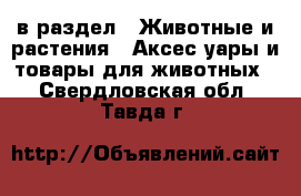  в раздел : Животные и растения » Аксесcуары и товары для животных . Свердловская обл.,Тавда г.